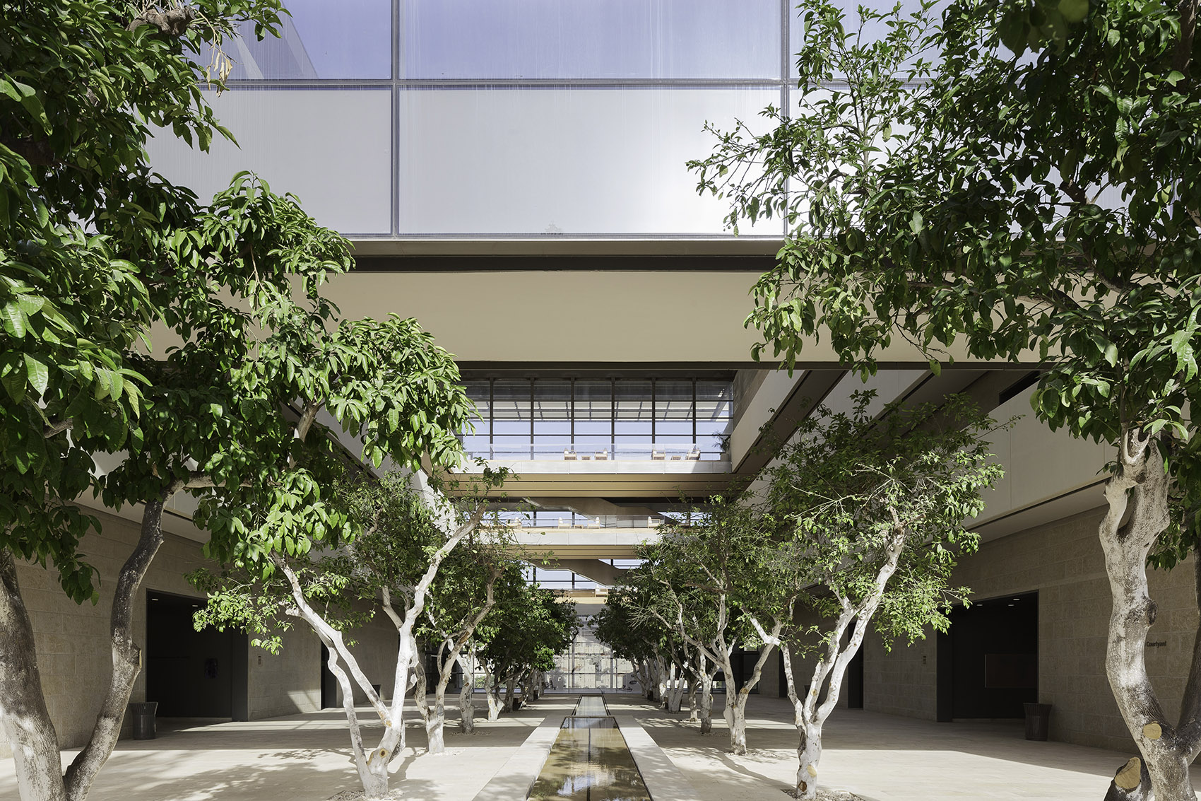 Edmond and Lily Safra Center for Brain Sciences in Jerusalem by Foster Partners
