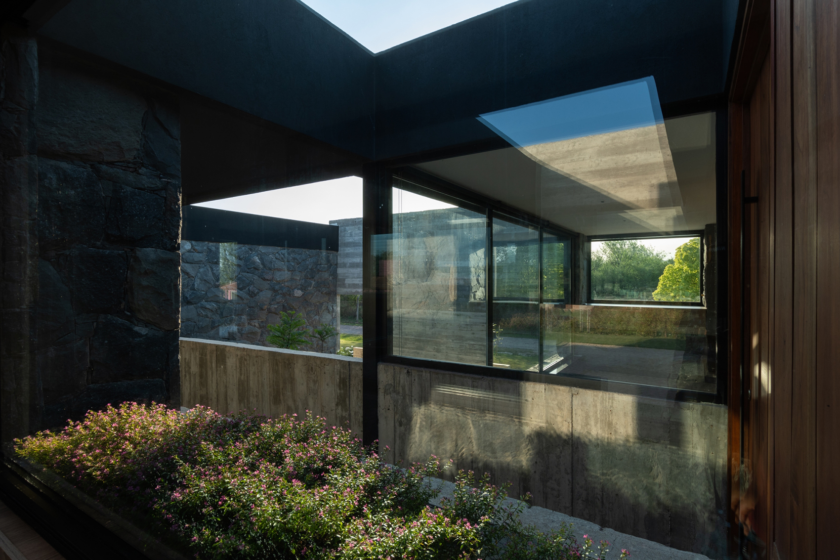casa mono by patio estudio