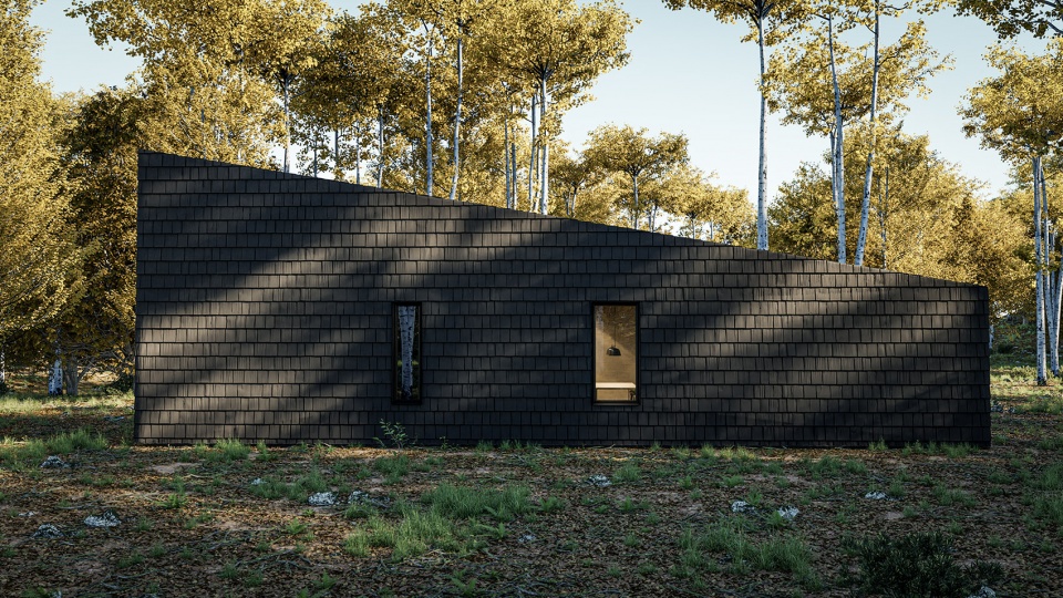 CANTON House Romania by Marc Thorpe Design 拷贝