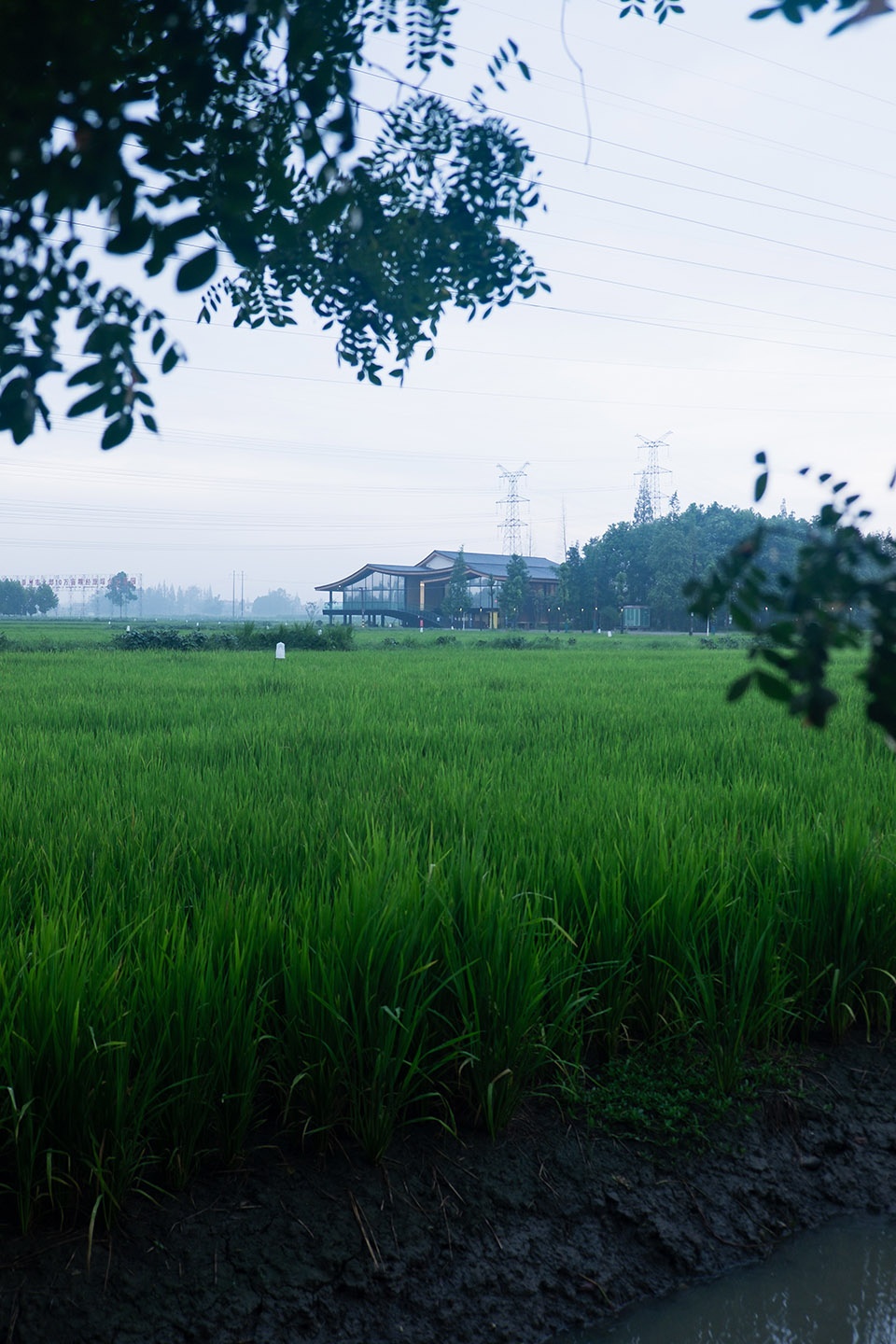 Grain Oil Exhibition Center Archermit