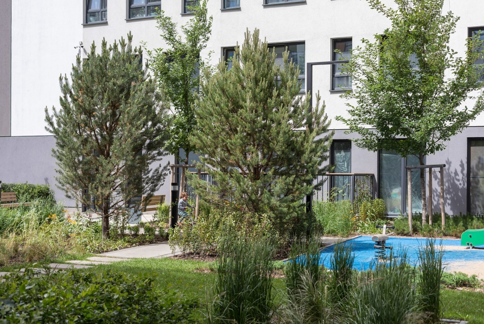 Public park and courtyards in Sukhodolsky quarter by Brusnika