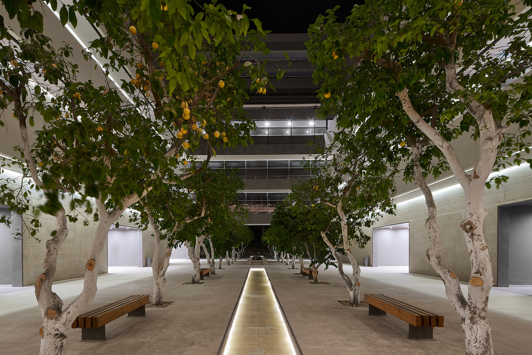 Edmond and Lily Safra Center for Brain Sciences in Jerusalem by Foster Partners