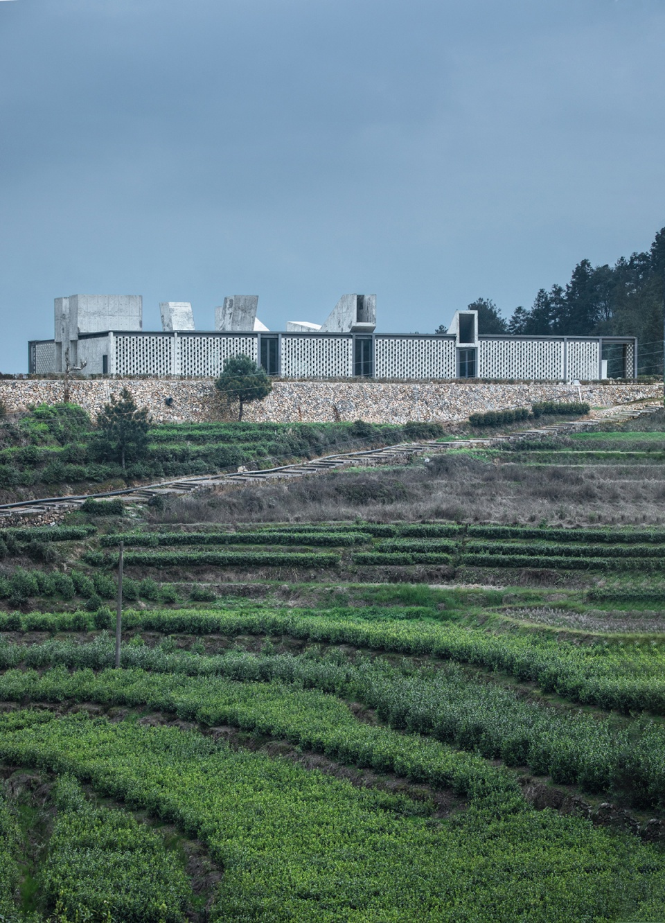 huiming tea space china by xu tiantian dna design and architecture