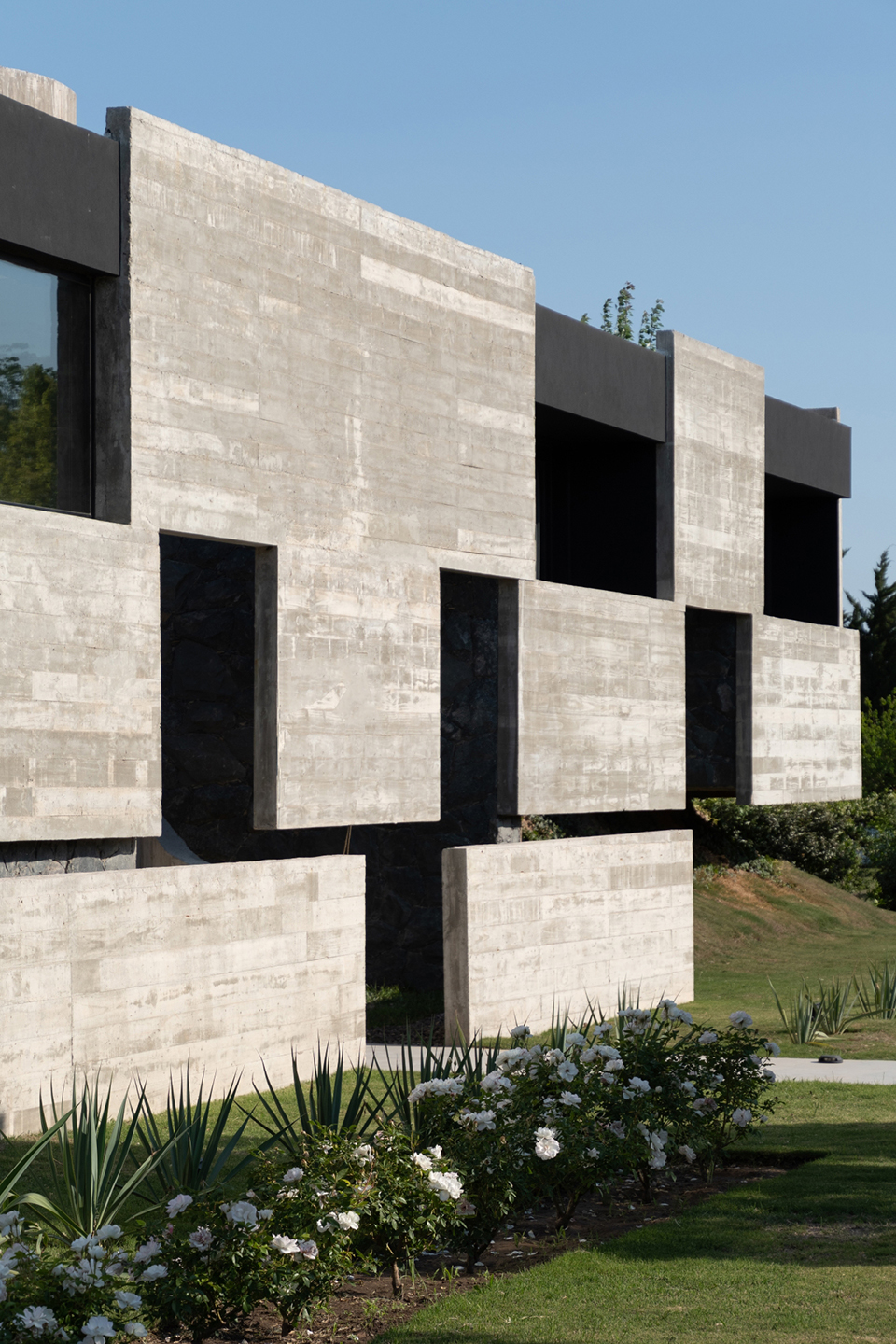 casa mono by patio estudio