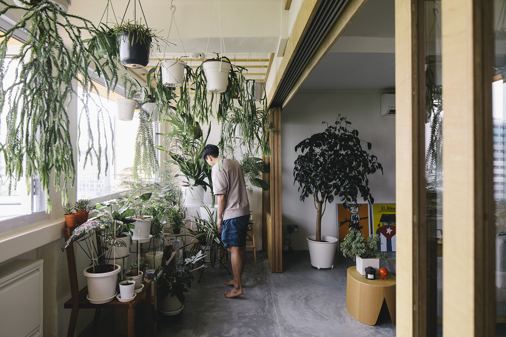 bukit merah by monocot