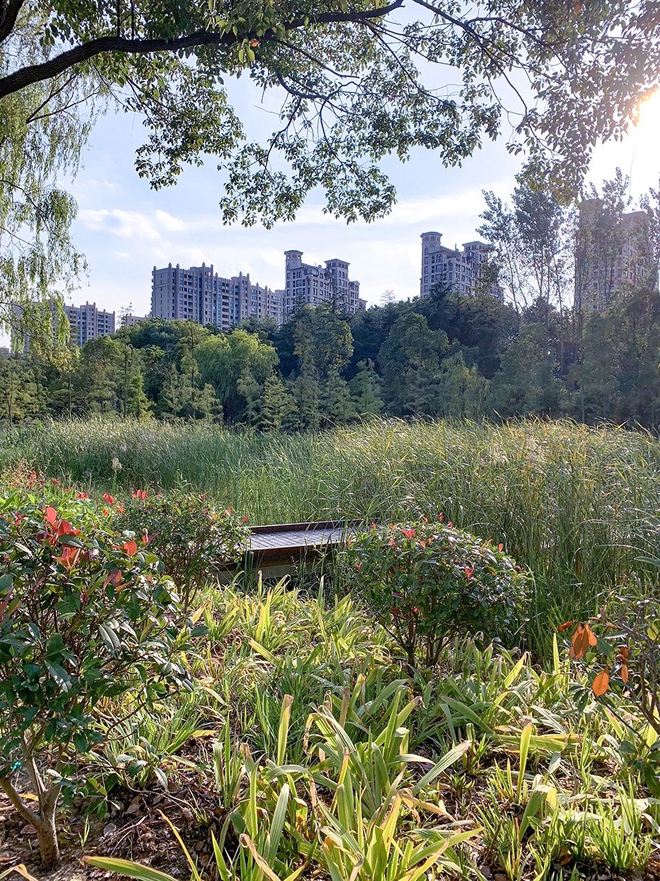 forest park west entry breaking barriers to connect neighborhood landscape infrastructure china by plat studio