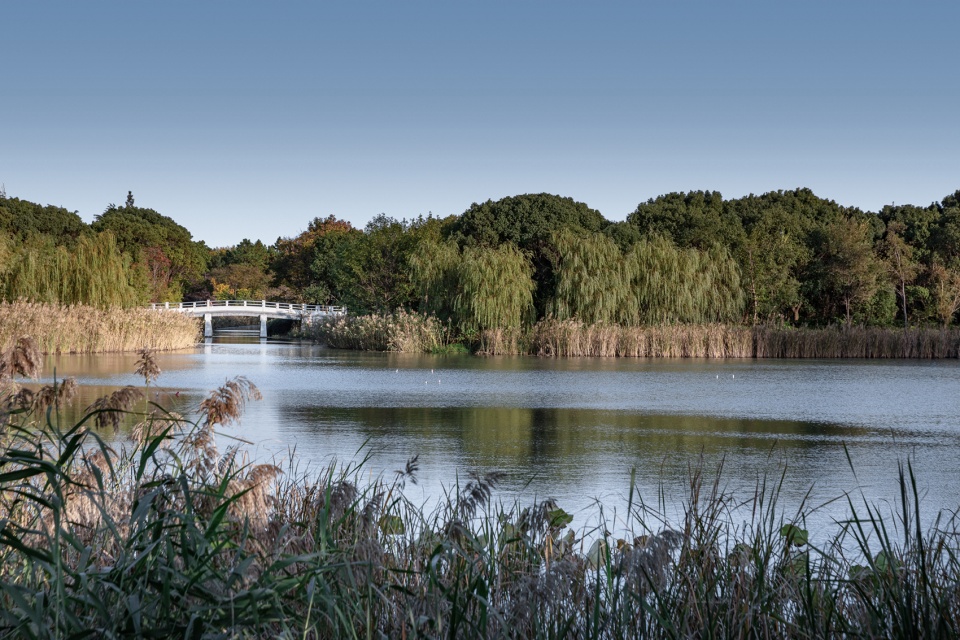forest park west entry breaking barriers to connect neighborhood landscape infrastructure china by plat studio