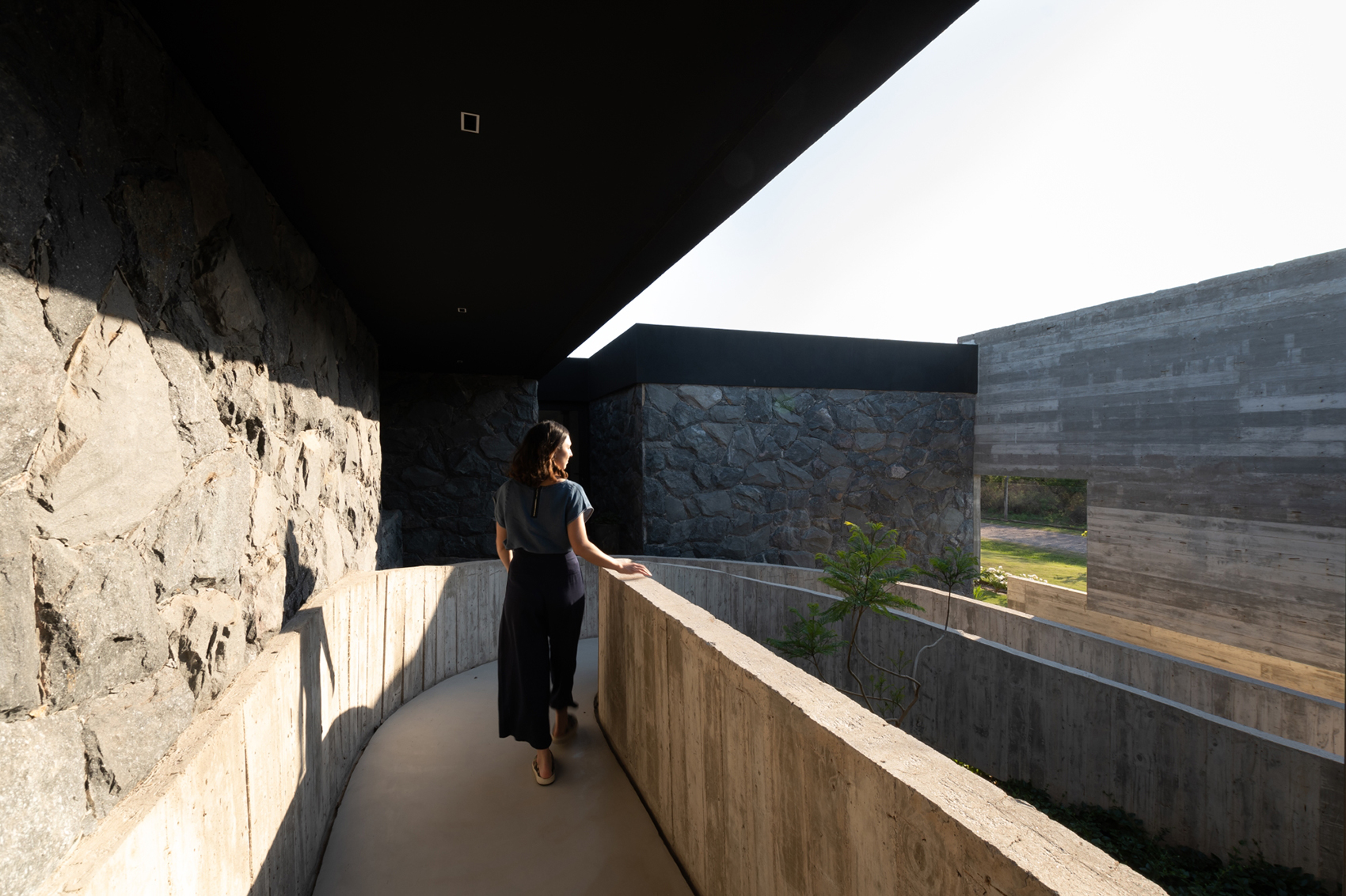 casa mono by patio estudio