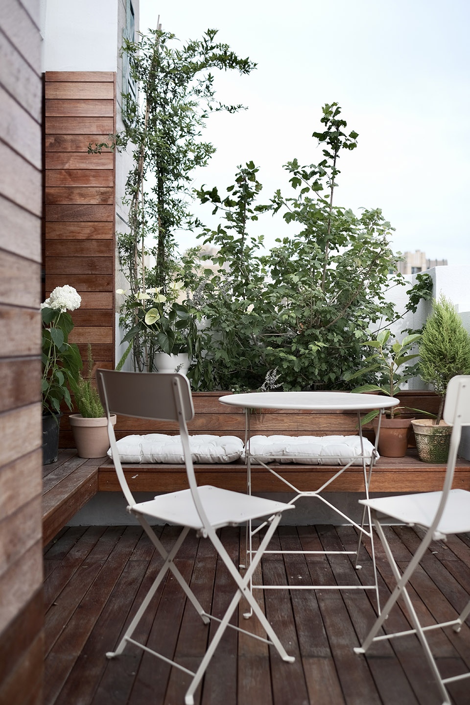 Nature house Fine Design