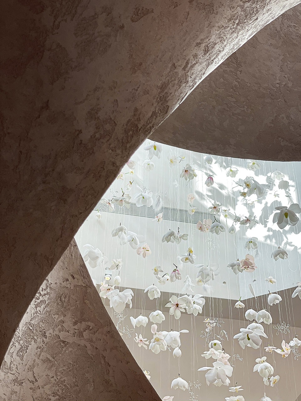 tomacado shanghai ifc by liang architecture studio
