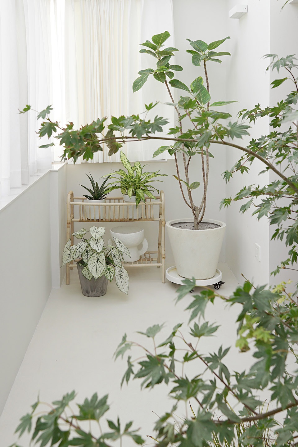 Nature house Fine Design