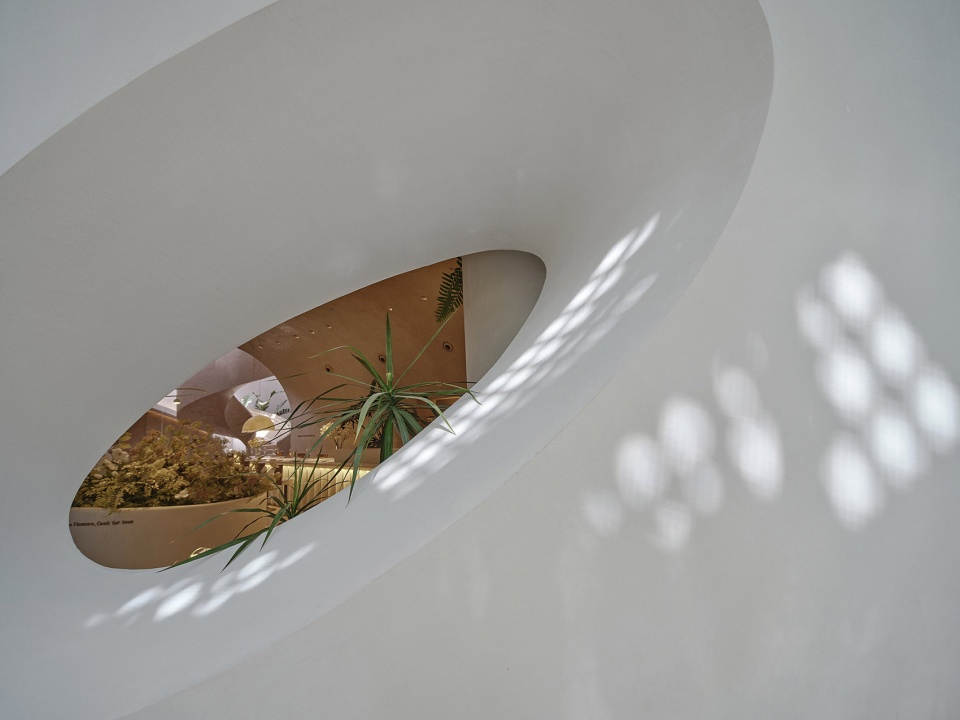 tomacado shanghai ifc by liang architecture studio