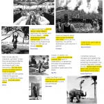 在海外专辑第一百零九期 – 汪民权