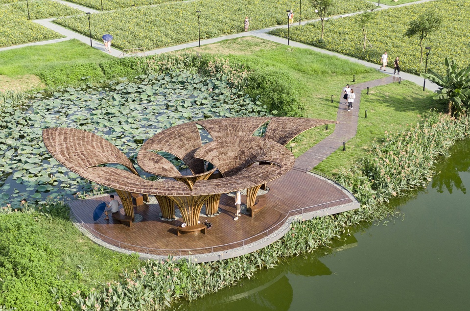 flower field bamboo pavilion china by atelier cns