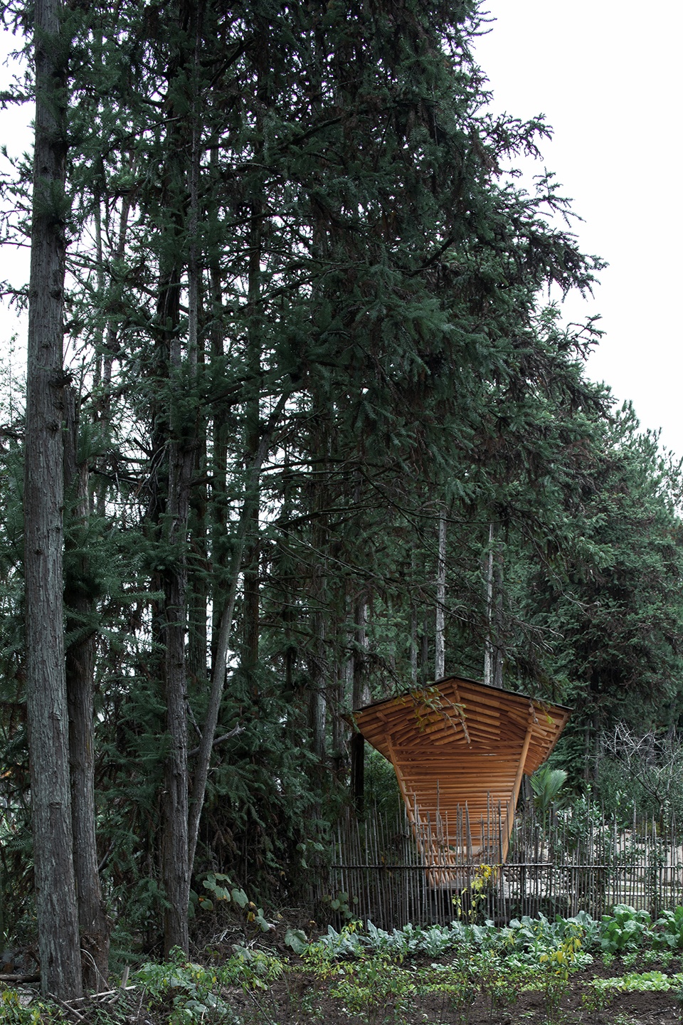 hehe tea pavilion china by zsyz studio