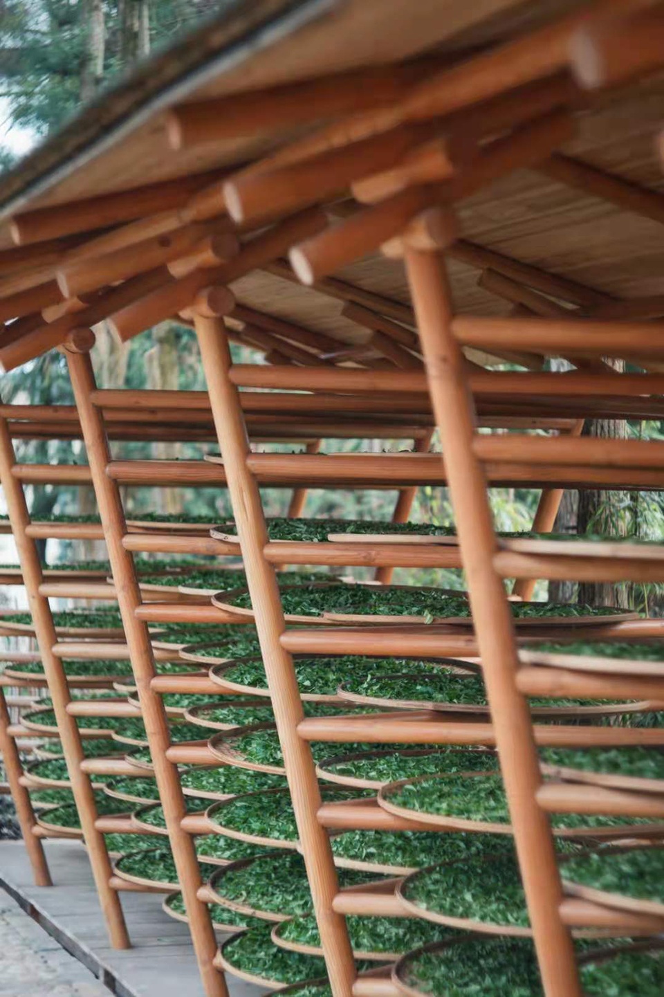 hehe tea pavilion china by zsyz studio
