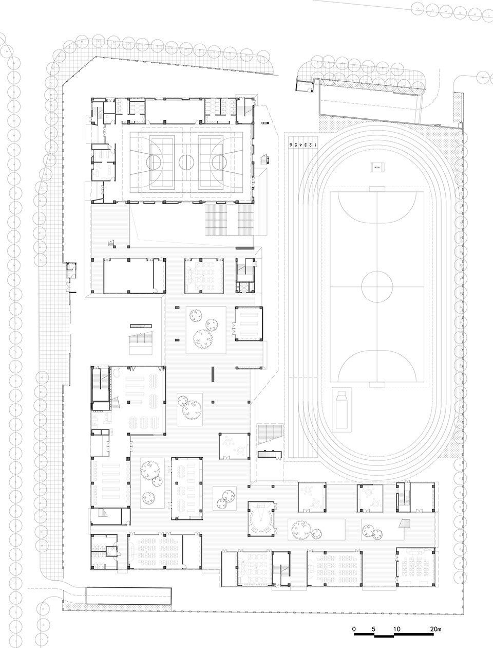 Shenzhen Coastal Primary School SADI