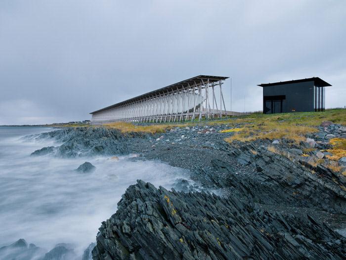 open of the roni horn in norwegian scenic route