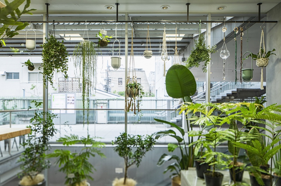 hitohachi seijo corty store in tokyo by kamitopen