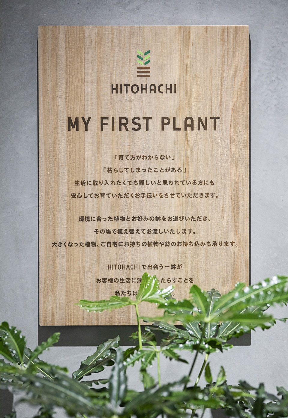 hitohachi seijo corty store in tokyo by kamitopen