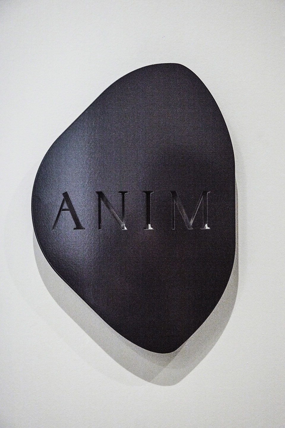 ANIM House Sanayi313 Architects