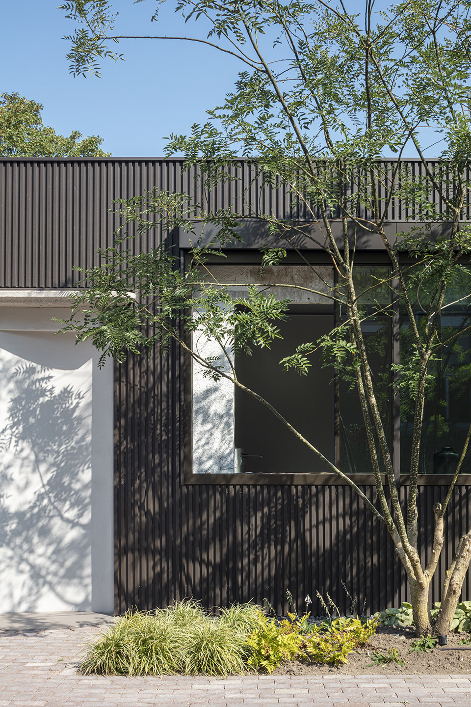 Villa West by MASA architects