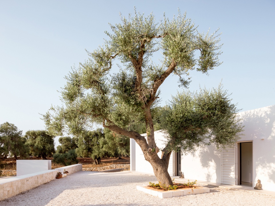 uliveto house by noname studio