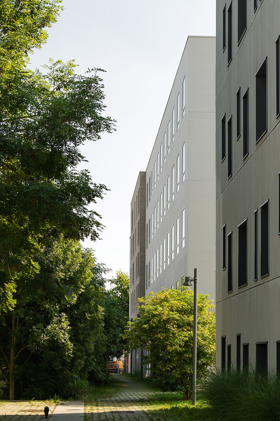 ilot 13B Rives de la Haute Deule by KAAN Architecten