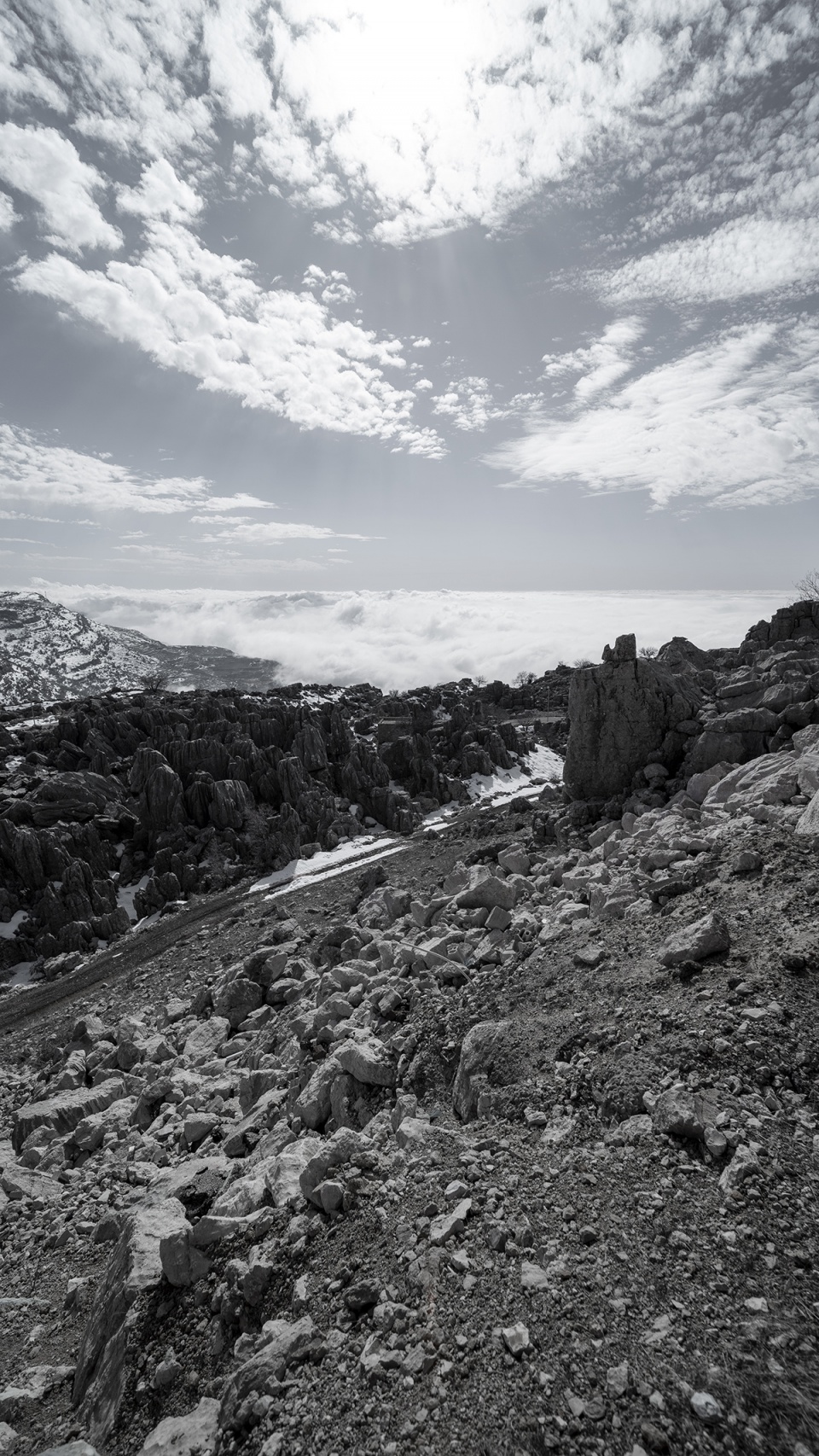 on the rocks by karim nader studio