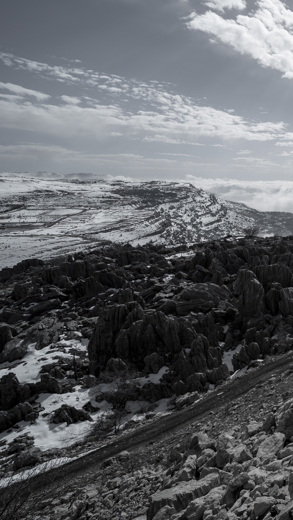 on the rocks by karim nader studio