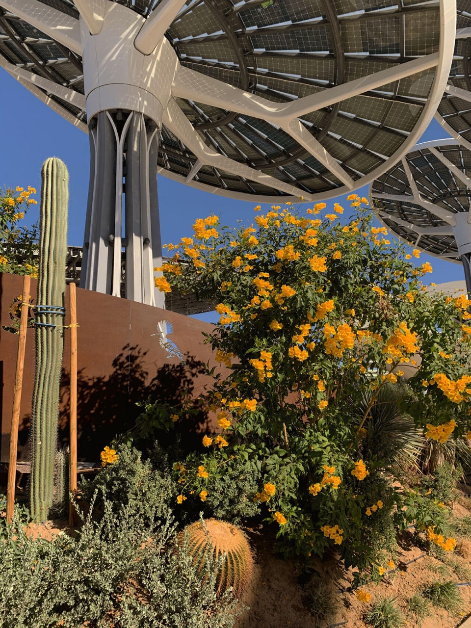 erra the sustainability pavilion expo 2020 dubai by grimshaw archtiects