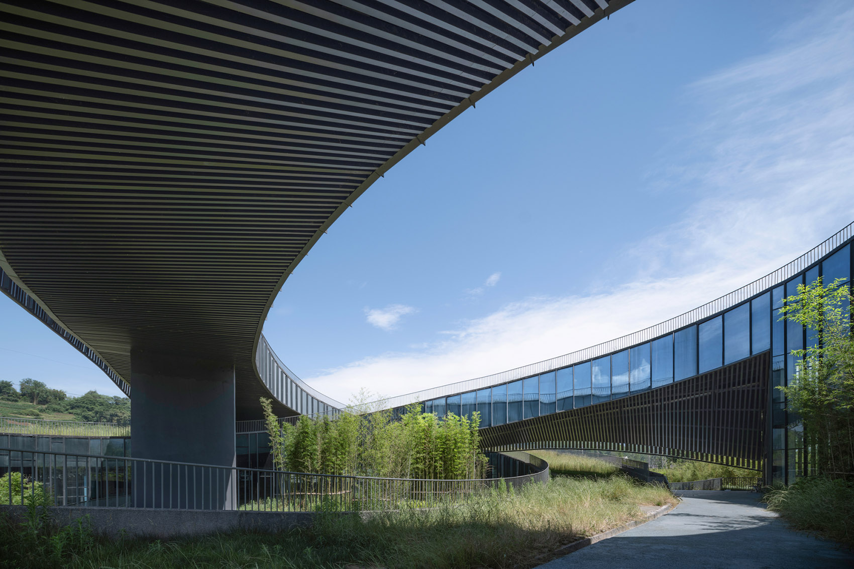 gooood archive curved roof