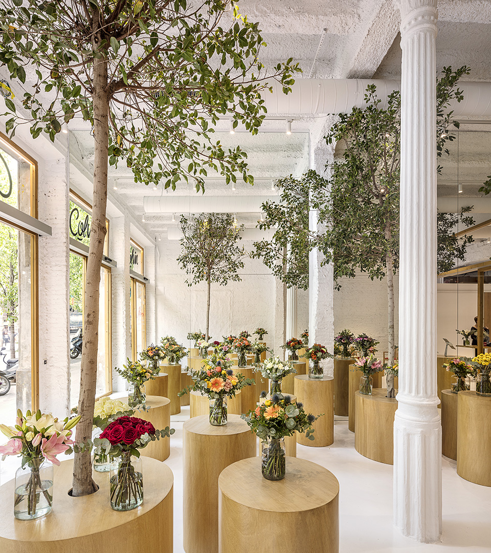colvin florist by roman izquierdo bouldstridge
