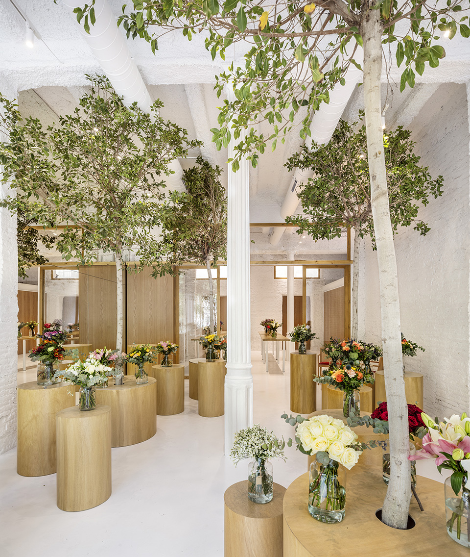 colvin florist by roman izquierdo bouldstridge