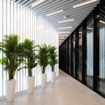 2020迪拜世博会俄罗斯馆 / SPEECH architectural office