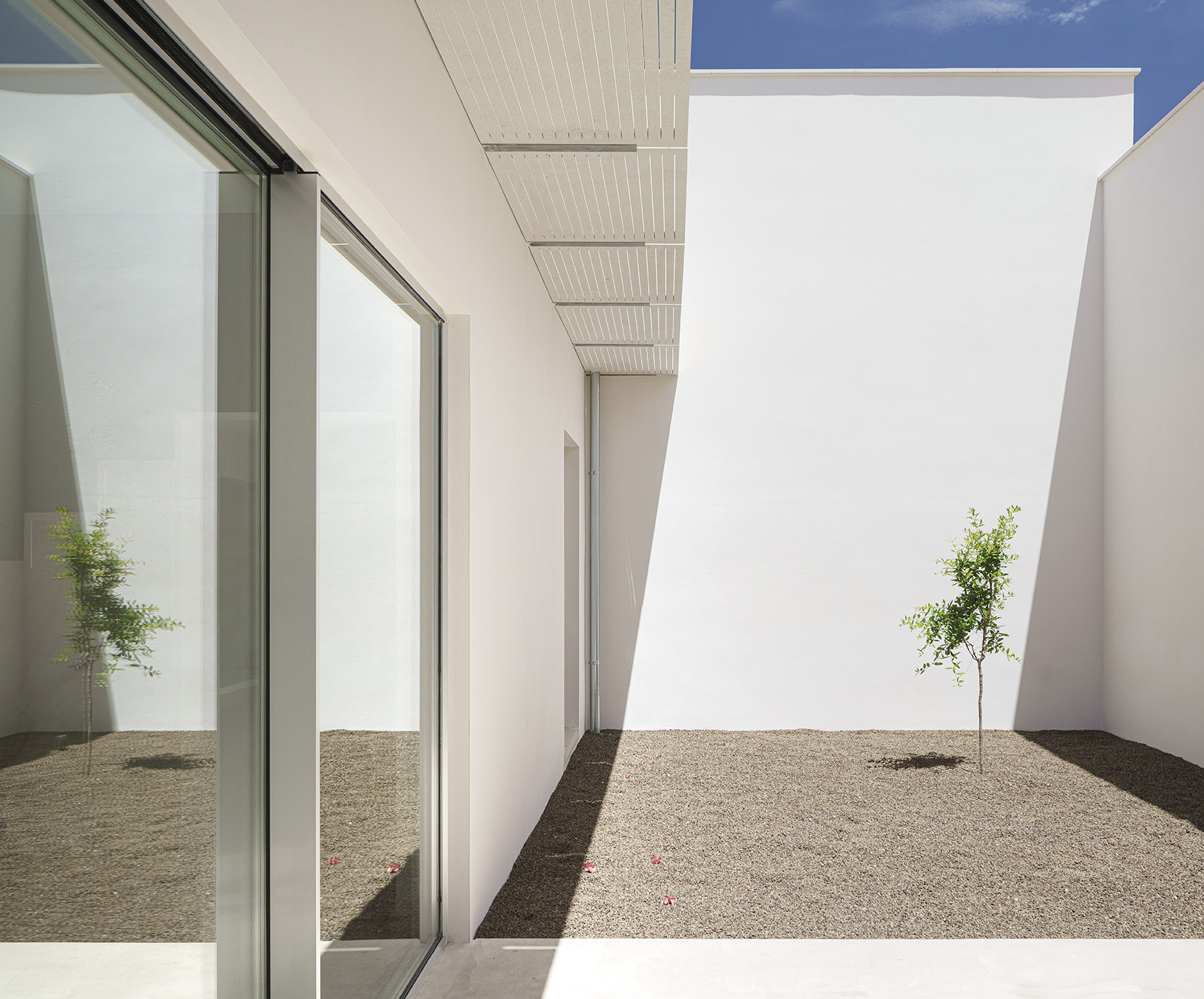 Lemon tree house by ITERARE ARQUITECTOS
