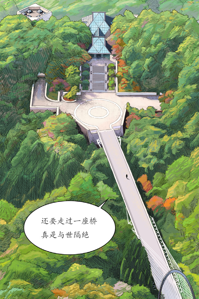 Selected projects with illustration drawings