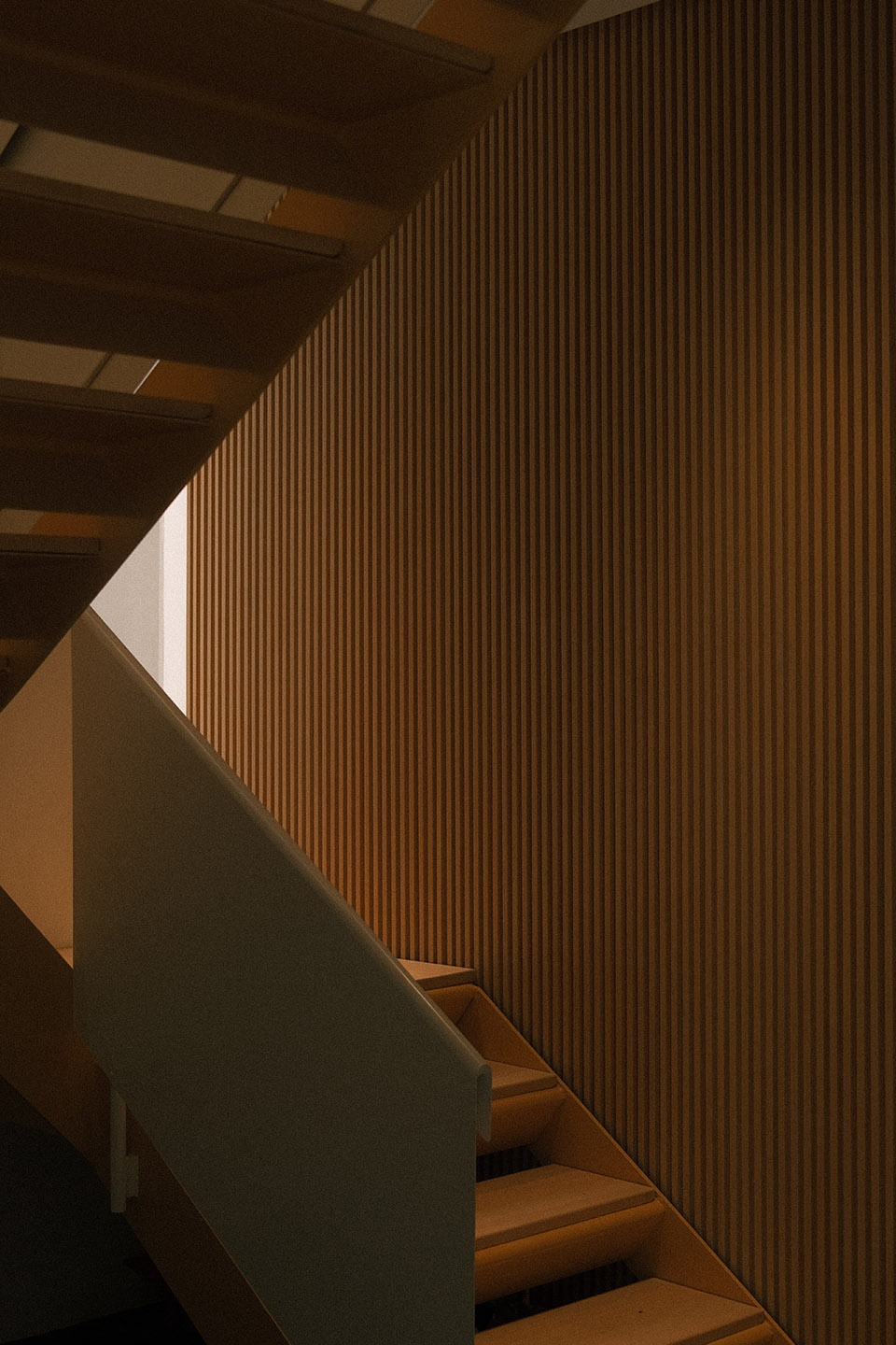 Reef say architects
