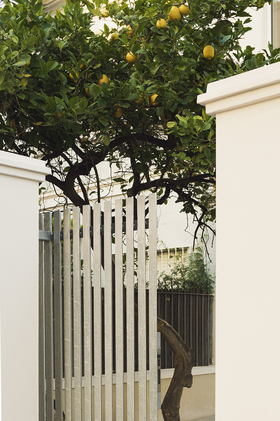 Lemon tree house by ITERARE ARQUITECTOS
