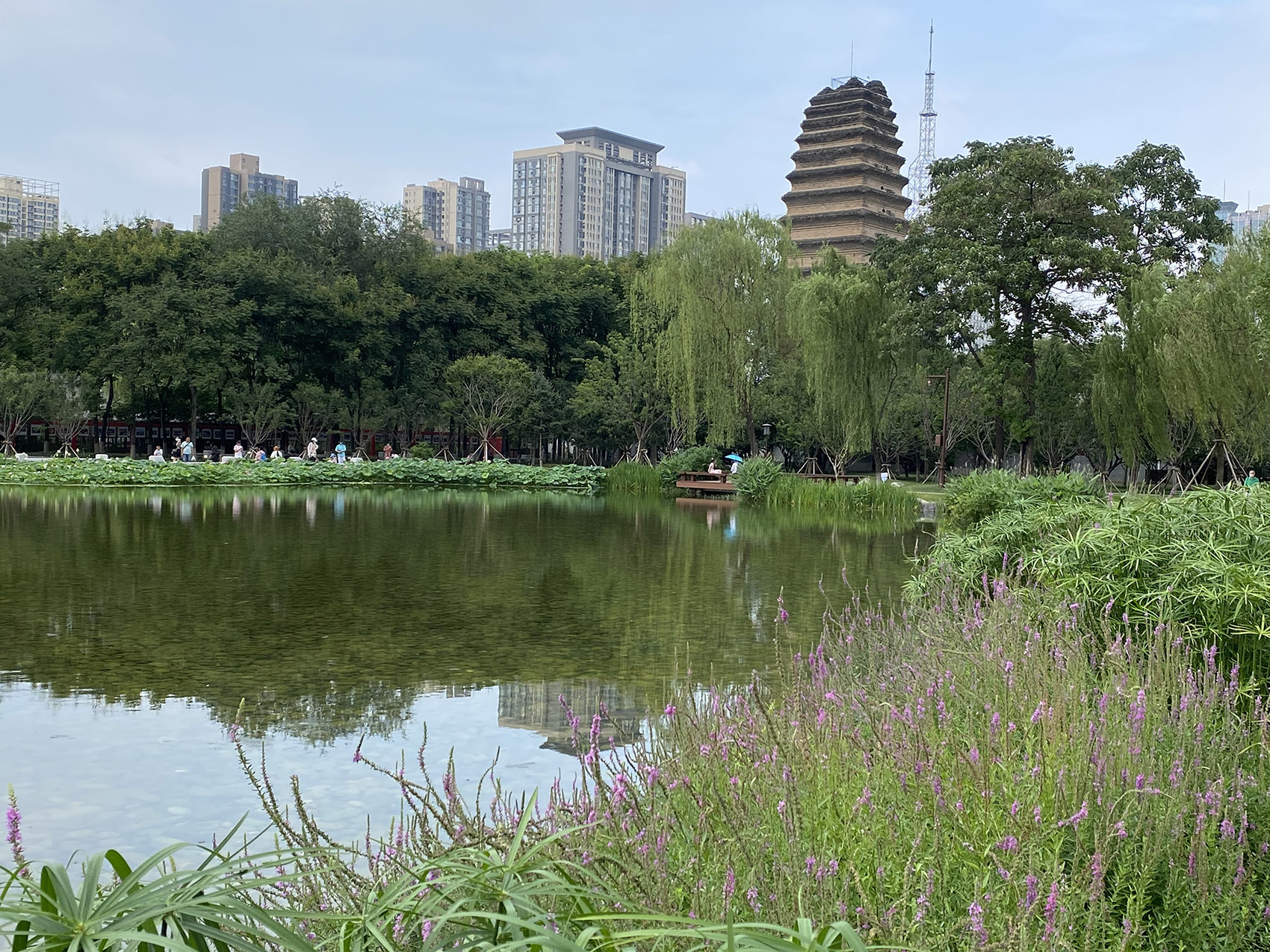 redevelopment of the small wild goose pagoda historical district china by aecom