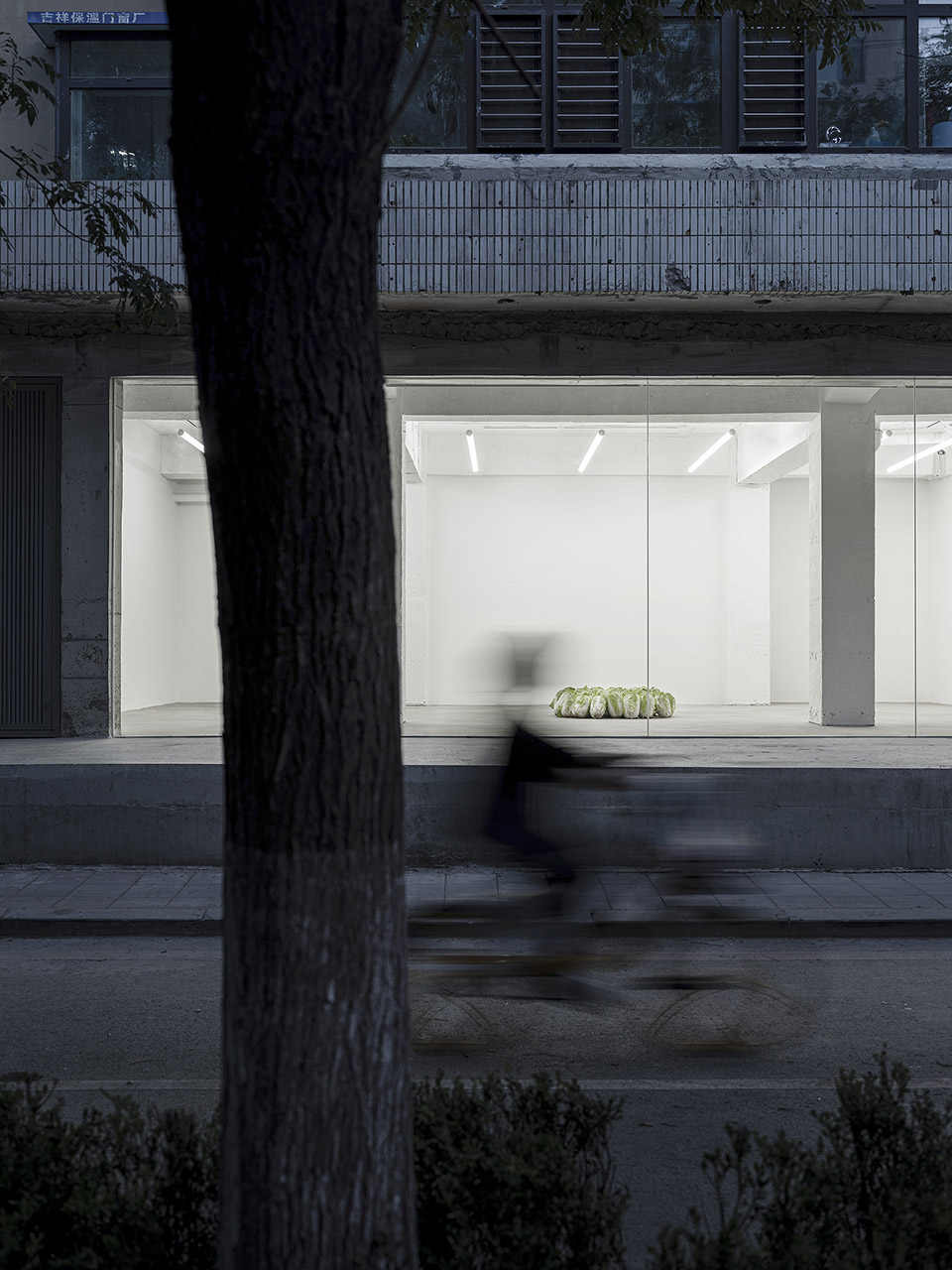 baicai design studio china by baicai design