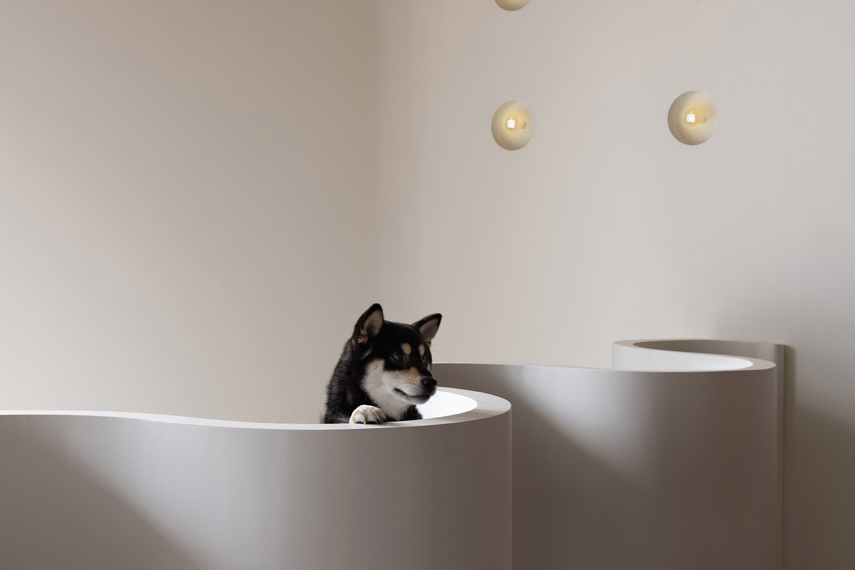 coco shiquan street shop china by oytt design