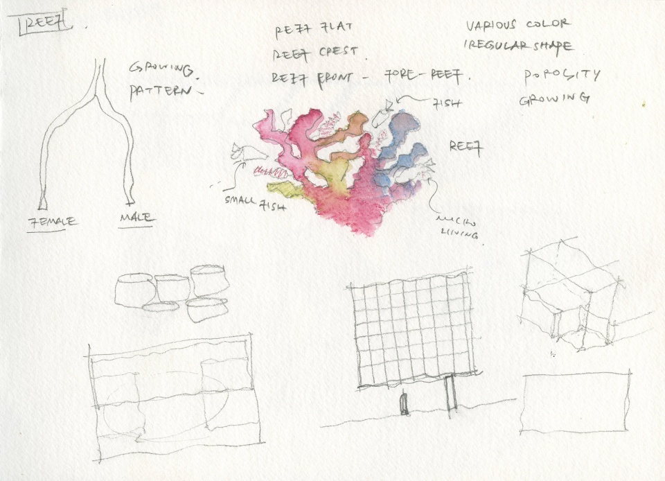 Reef say architects