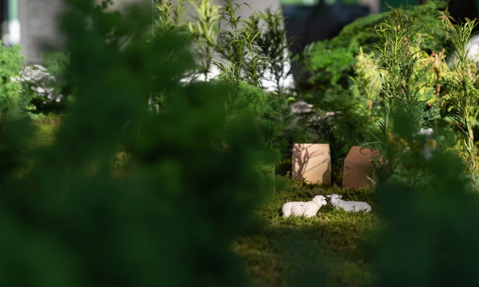 GREEN DREAM Tianhua Landscape Architecture