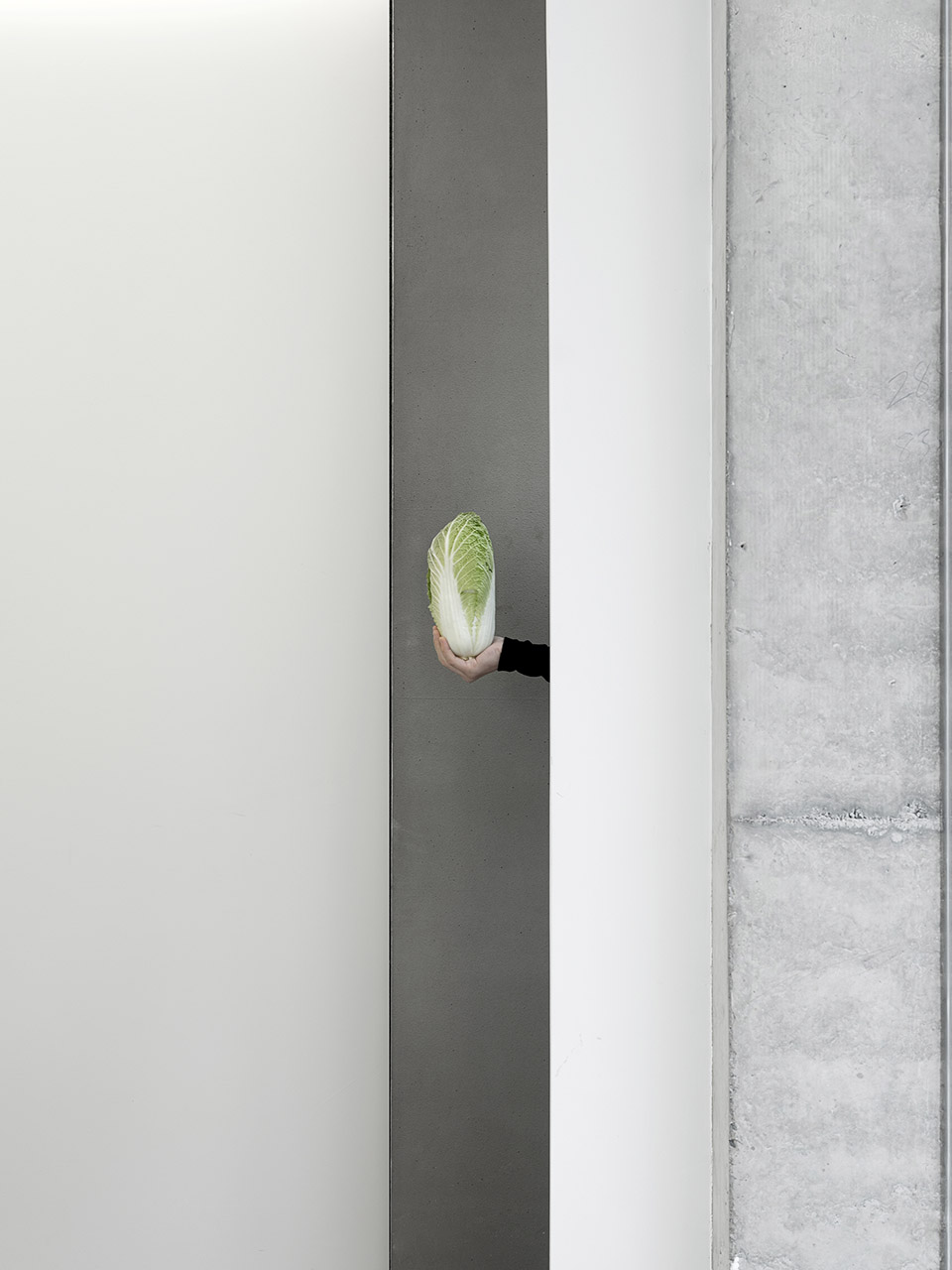 baicai design studio china by baicai design