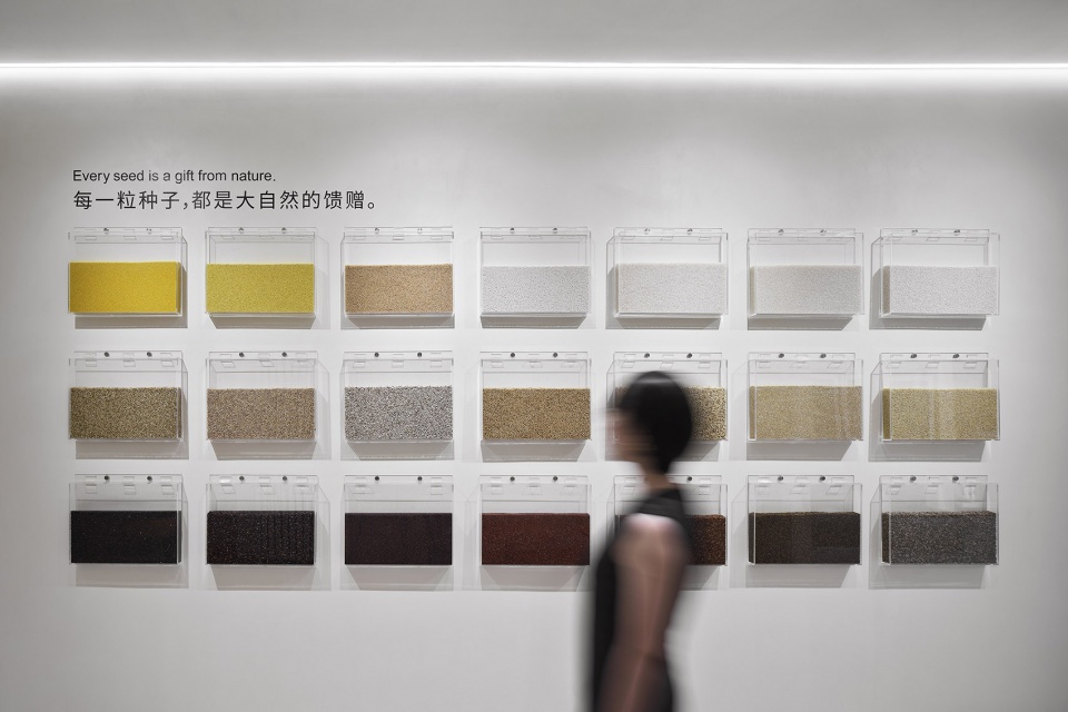 Home in the community Convenience Store Design LM
