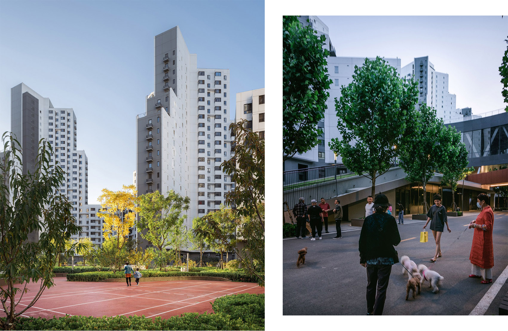 everyone public housing ma yansong