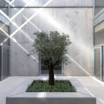 Narbo Via古罗马文物博物馆，法国 / Foster + Partners