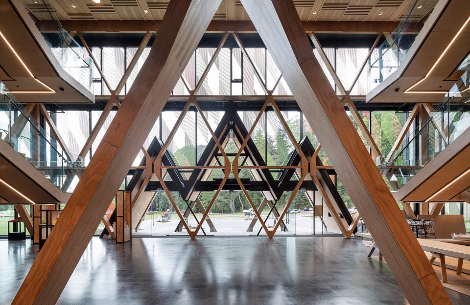 Te Whare Nui o Tuteata The SCION Timber Innovation Hub by RTA Studio Irving Smith Architects