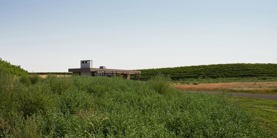 alton wines by goc